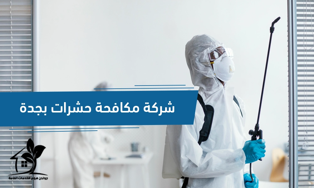 مكافحة حشرات بجدة